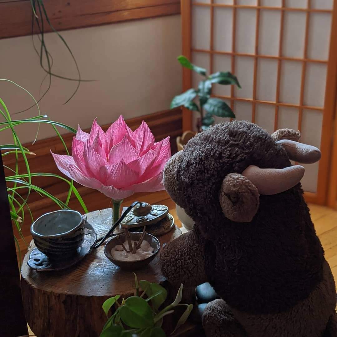 Luff, Being Tea's tea mascot, sitting at a tea table with a pretty pink flower