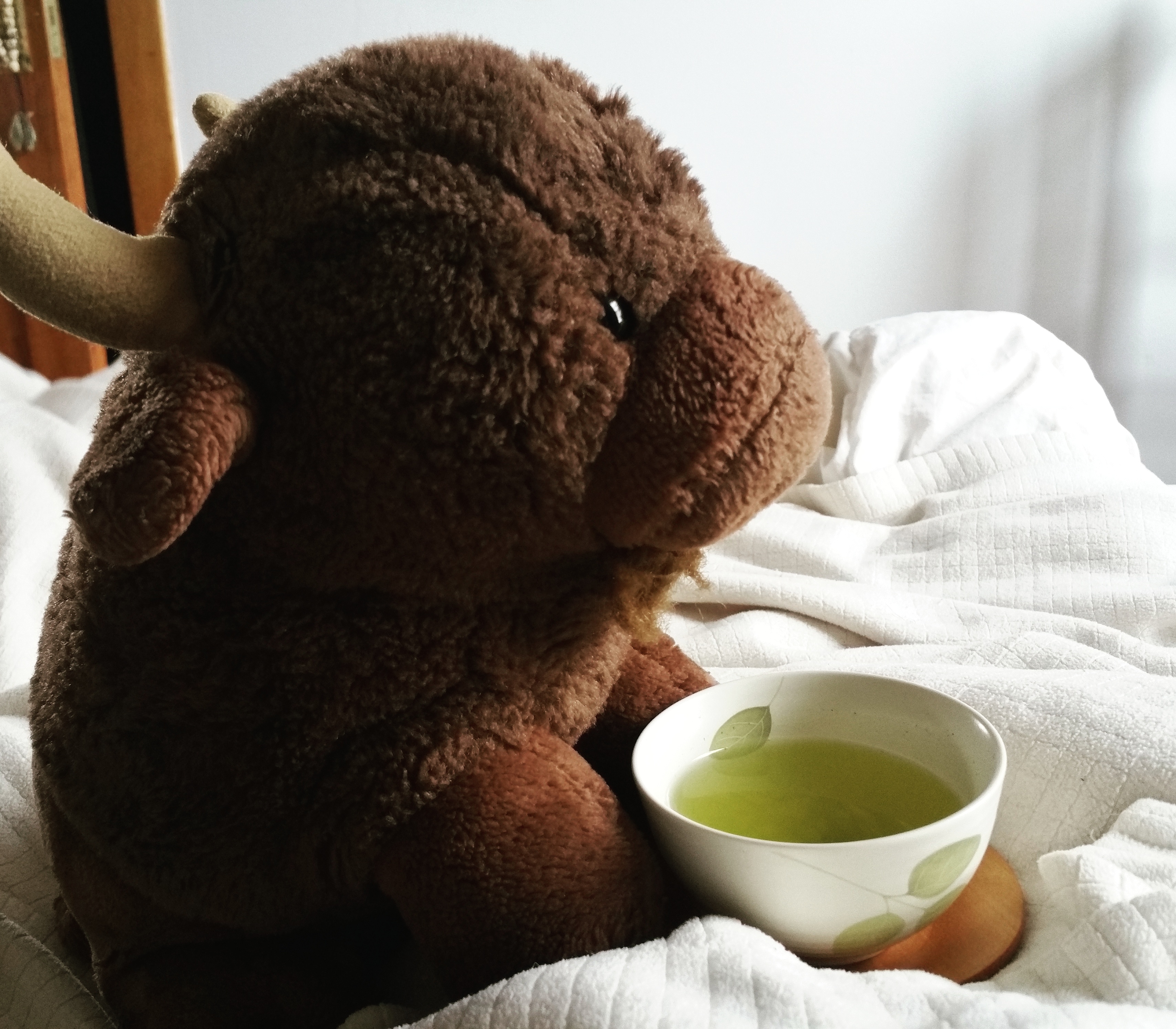 Luff, the tea mascot from Being Tea, looking contemplative with a cup of tea