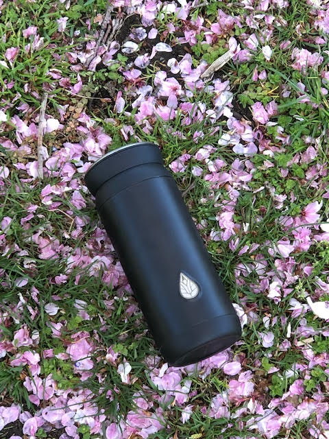 Chufunyu Eclipse Travel Press surrounded by cherry blossoms