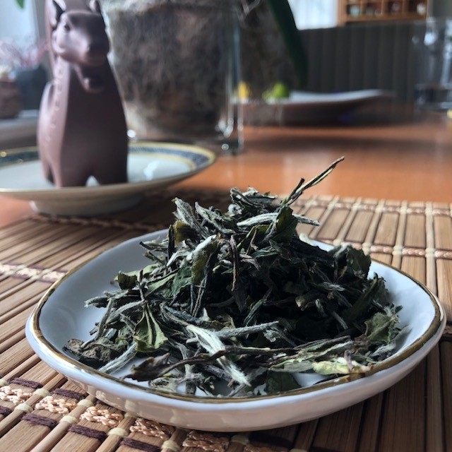 Bai MuDan tea leaves in a white dish that is sitting on a bamboo mat. A ram tea pet looks on.