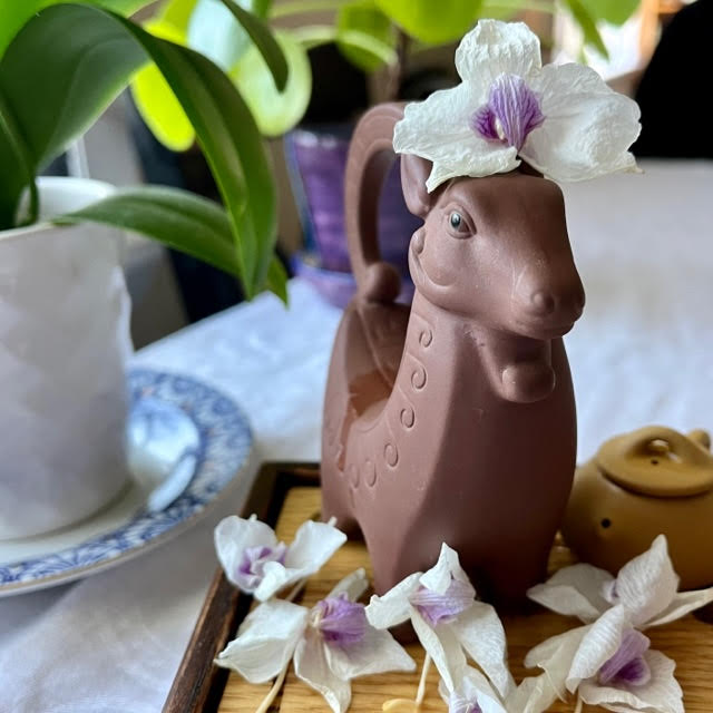 Clay ram teapet with white and magenta orchid on its head.