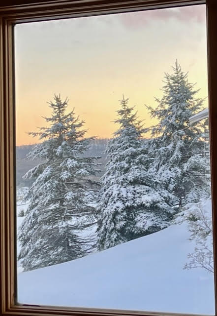 Three snowy pine trees on a hillside at sunset
