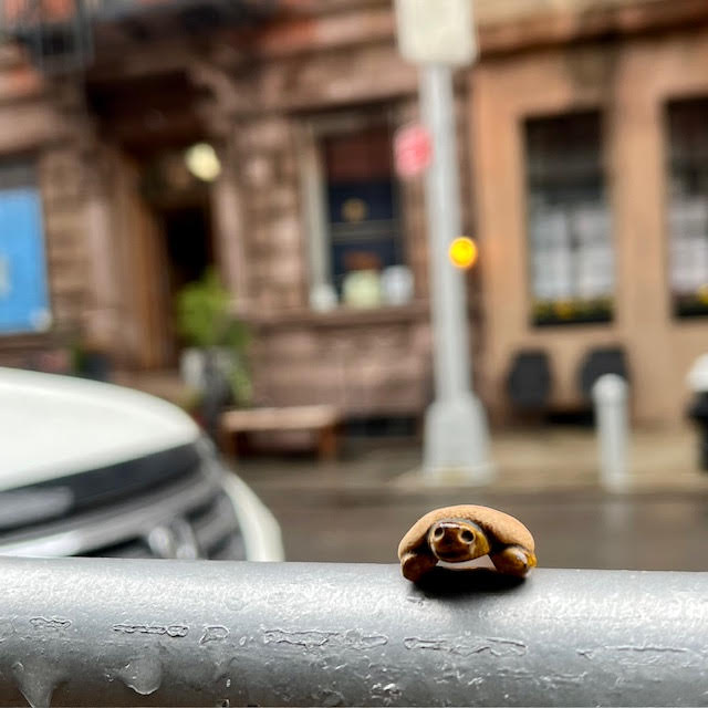 Tiny clay tea pet turtle, Bonsai, waiting on a metal railing outside a tea shop in Manhattan.