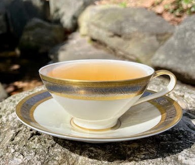 Rosenthal Duchess Ivory teacup and saucer with gold and platinum trim on rocks.