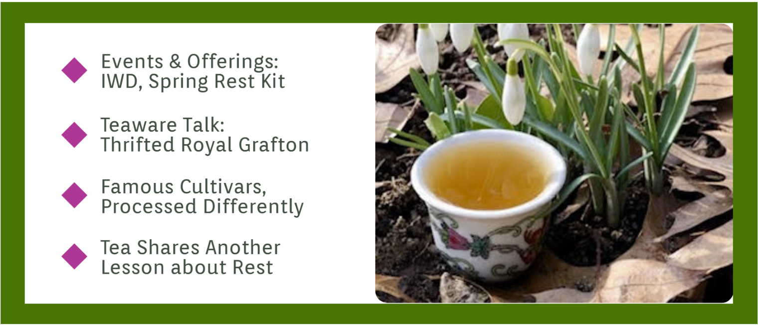 Small gongfu teacup with floral pattern, filled with golden tea, sitting next to snowdrop flowers and fallen leaves. 