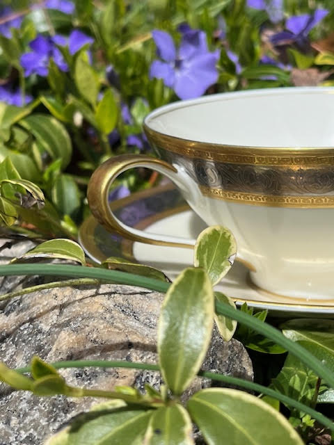 Rosenthal Duchess teacup and saucer detail