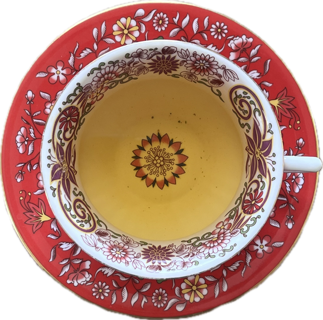 First Flush Black Tea 2024 from Nepal Tea Collective in a red and white floral Wedgwood teacup and saucer from Tea Infusiast's personal collection 