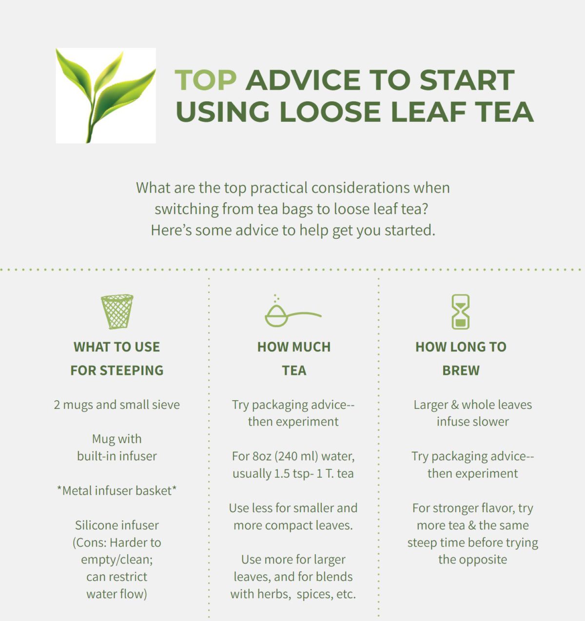 How to Get Started with Loose Leaf Tea Tea Infusiast
