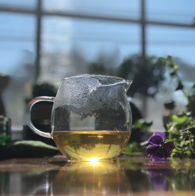 Sunshine reflecting off glass pitcher of golden tea on a table next to a purple viola