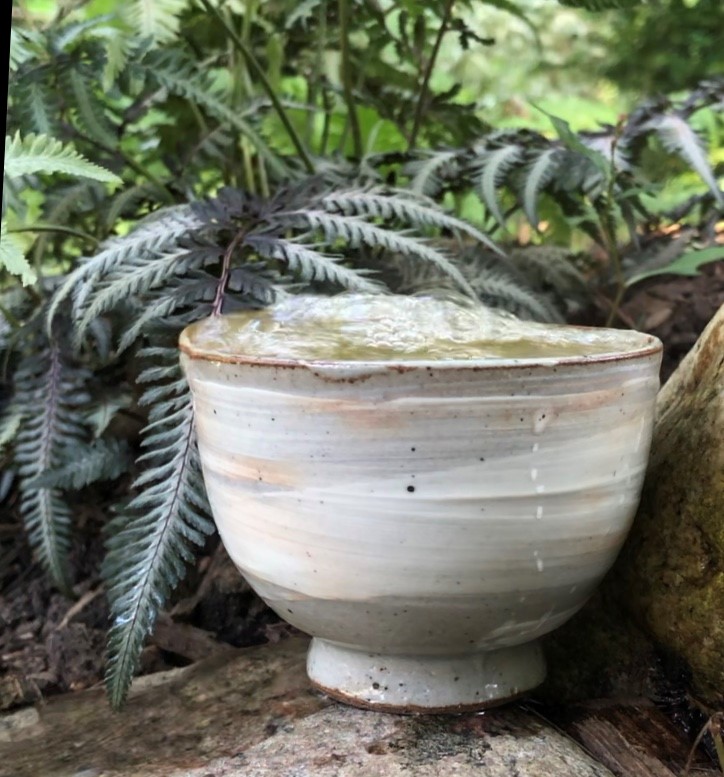 Intentional tea in a hakeme teacup surrounded by ferns and plants