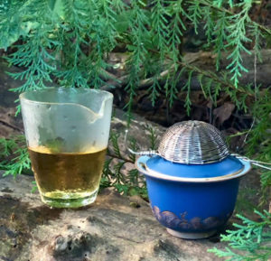 A fairness pitcher and blue and gold gaiwan with a basket tea strainer sittign on a log in Reed Canyon