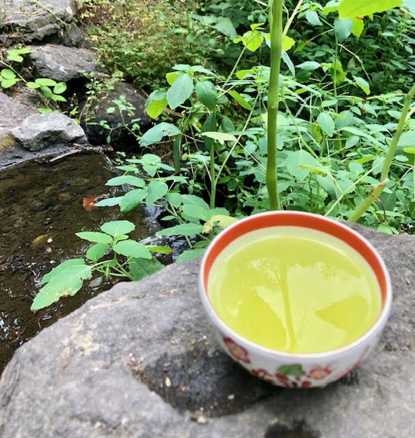 Porcelain cup with burnt orange rim and flowers full of yellow-green sencha, sitting on a rock by a stream in Reed Canyon