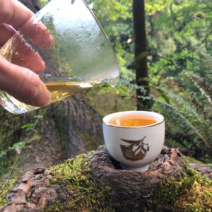 Pouring tea from a fairness pitcher into a white TeaFestPDX cup in Reed Canyon