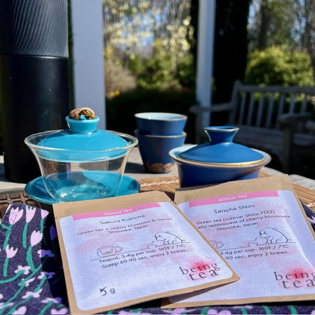 To enjoy my tea practice, I packed two gaiwans, two different teas, two teacups, a thermos of hot water, my tiny turtle teapet, and a blue, green, and lavender cloth napkin.
