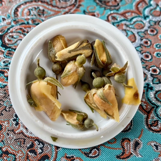 Steeped yellow rosebuds on the white lid of a tea cupping set