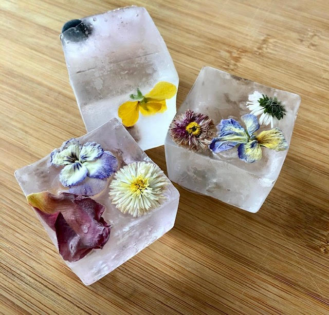 Ice cubes with edible flower