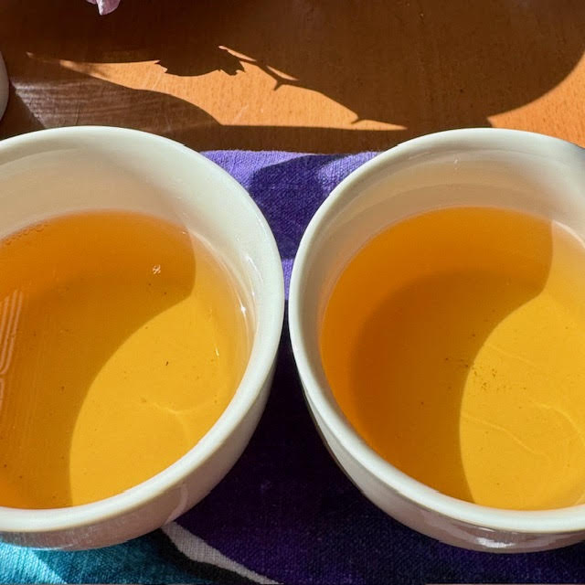 golden amber Darjeeling tea in two white, handless cups