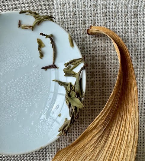 Steeped yellow tea tea leaves in an artistic pattern along the right edge of an inverted gaiwan lid. Next to it is a yellow and dry, curvy orchid leaf