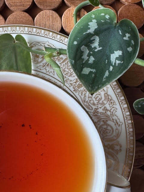 Close up of Rose Label Gold 2025 tea in a white and gold teacup