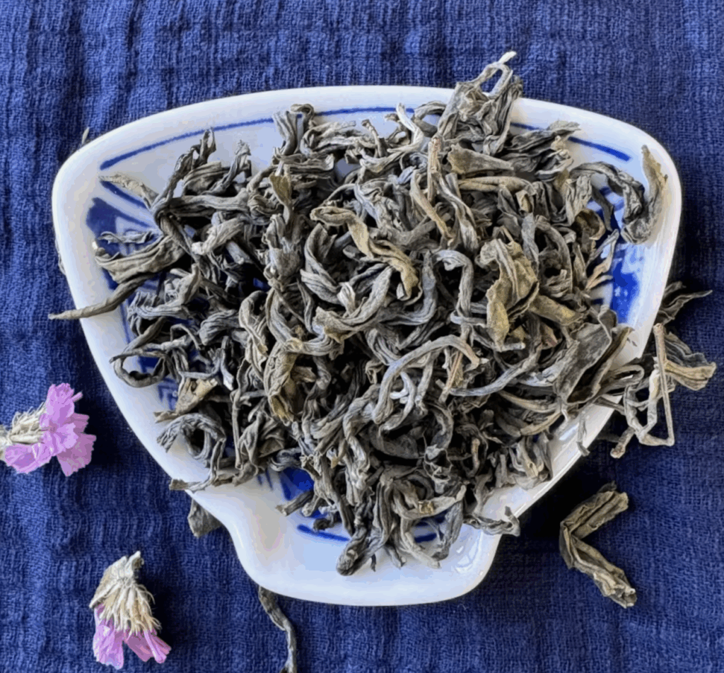 Green twisted tea leaves with some yellowish parts Lũng Phìn Small Leaf Green from Anna Ye  Tea in a white dish shaped like a teacup