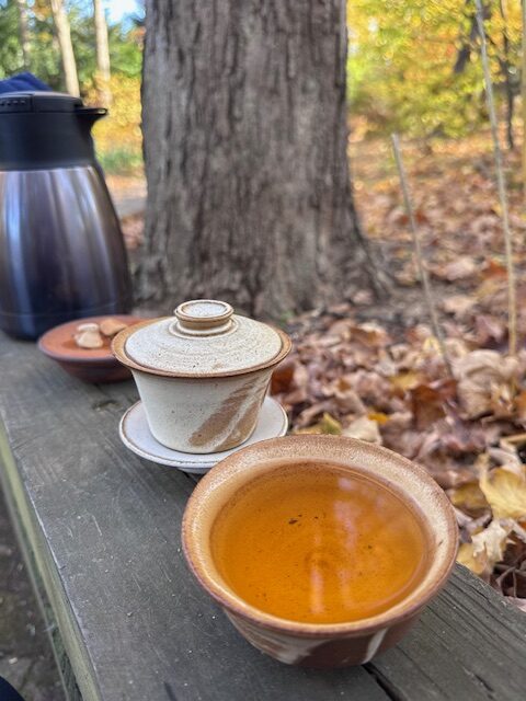 Outdoor tea: a clay teacup and gaiwan (brown and cream colored) on a piece of wood by a tree. Autumn leaves blanket the nearby ground.