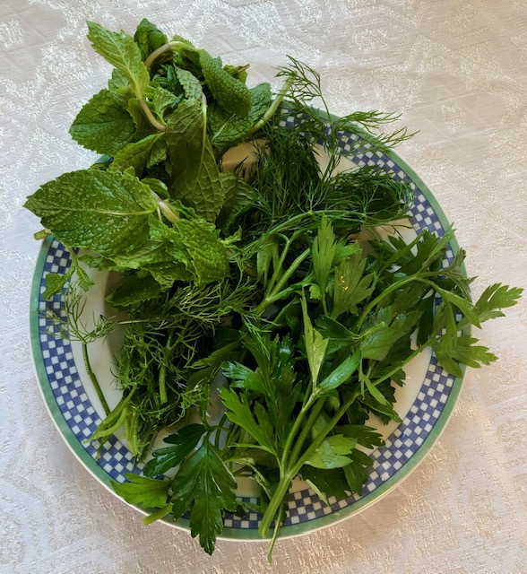 Bowl of fresh green herbs, including mint, dill, and cilantro