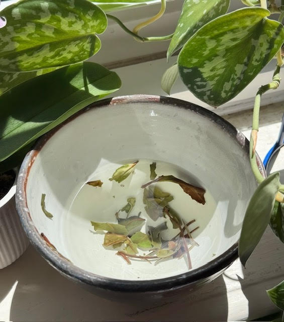 Bowl tea--tea leaves in a tea bowl--is a great way to enjoy drinking less tea